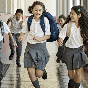 Asesoría en Convivencia Escolar y Covitalidad: Un programa de habilidades socioemocionales para niños, niñas y adolescentes